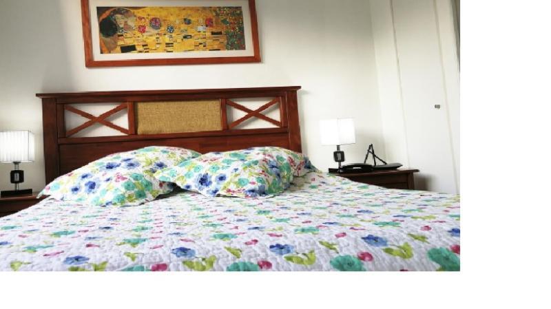 Apartament Plaza Paris Amistar Santiago de Chile Zewnętrze zdjęcie