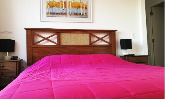 Apartament Plaza Paris Amistar Santiago de Chile Zewnętrze zdjęcie